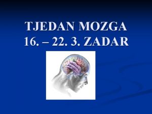 TJEDAN MOZGA 16 22 3 ZADAR MUKI MOZAKENSKI