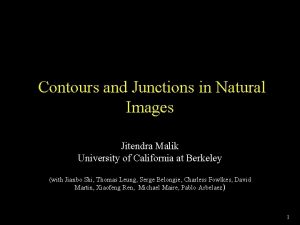 Contours and Junctions in Natural Images Jitendra Malik