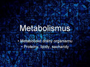Metabolismus Metabolick drhy organismu Proteiny lipidy sacharidy Co