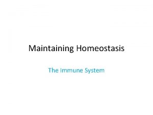 Maintaining Homeostasis The Immune System Maryland Science Content