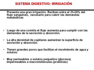 SISTEMA DIGESTIVO IRRIGACIN Presenta una gran irrigacin Reciben
