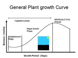 General Plant growth Curve Biomass tonha Vegetative phase