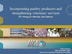 Incorporating poultry producers and strengthening veterinary services IICA