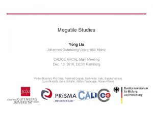 Megatile Studies Yong Liu Johannes Gutenberg Universitt Mainz