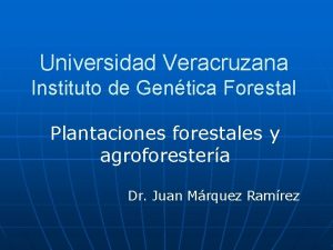 Universidad Veracruzana Instituto de Gentica Forestal Plantaciones forestales