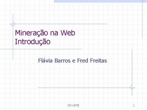 Minerao na Web Introduo Flvia Barros e Fred