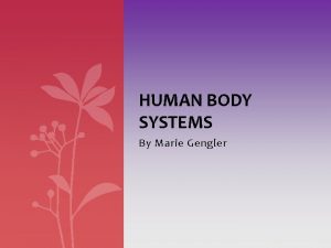 HUMAN BODY SYSTEMS By Marie Gengler Table of