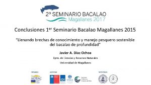 Conclusiones 1 er Seminario Bacalao Magallanes 2015 Llenando