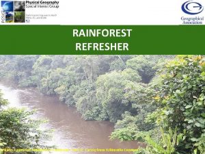 RAINFOREST REFRESHER Photo Cameroon rainforest in Cameroon Source