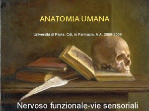 ANATOMIA UMANA Universit di Pavia Cd L in