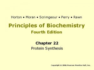 Horton Moran Scrimgeour Perry Rawn Principles of Biochemistry