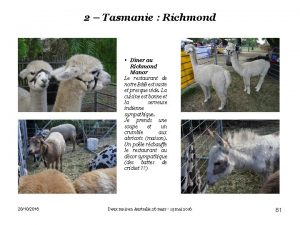 2 Tasmanie Richmond Dner au Richmond Manor Le