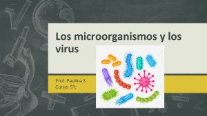 Los microorganismos y los virus Prof Paulina S