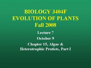 BIOLOGY 3404 F EVOLUTION OF PLANTS Fall 2008