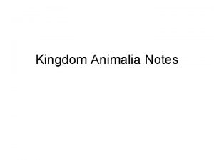 Kingdom Animalia Notes Domain Eukarya Kingdom Animalia Phylum