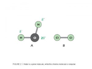 FIGURE 2 1 Water is a polar molecule