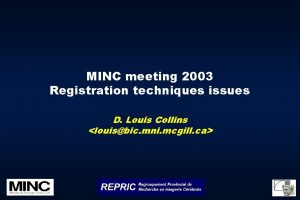 MINC meeting 2003 Registration techniques issues D Louis