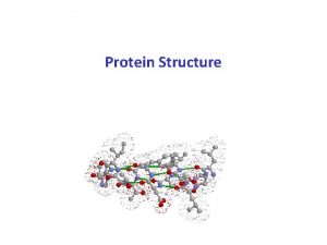 Protein Structure Primary Assembly Secondary Folding Tertiary Packing