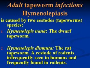 Adult tapeworm infections Hymenolepiasis is caused by two