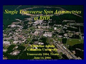 Single Transverse Spin Asymmetries at RHIC Christine Aidala