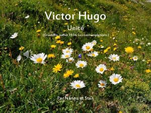 Victor Hugo Unit Granville juillet 1836 Les contemplations