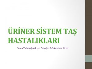 RNER SSTEM TA HASTALIKLARI Selen Tulunolu In Erdoan