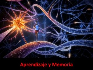 Aprendizaje y Memoria Podra intentar definirse someramente a