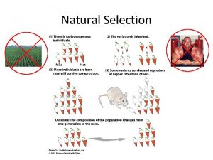 Natural Selection Natural Selection is based on reproductive
