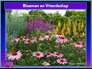 Bloemen en Vriendschap Ppsx Meta Als mijn vrienden