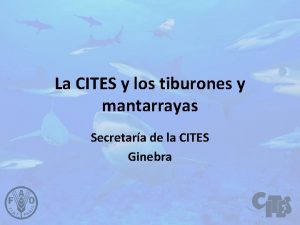 La CITES y los tiburones y mantarrayas Secretara