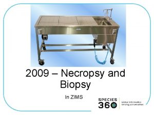 2009 Necropsy and Biopsy In ZIMS ZIMS Updates