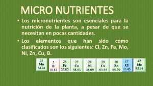 MICRO NUTRIENTES Los micronutrientes son esenciales para la