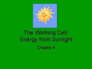 The Working Cell Energy from Sunlight Chapter 8