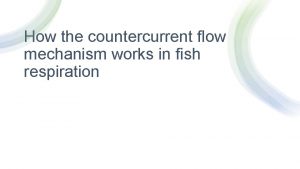 Countercurrent flow in fish