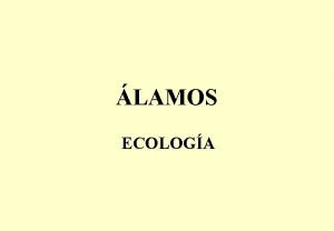 LAMOS ECOLOGA EXIGENCIAS ECOLOGICAS DE LOS ALAMOS LUZ