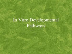 In Vitro Developmental Pathways Explants Sterile pieces of