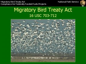 Migratory Bird Treaty Act Compliance for Federally Funded