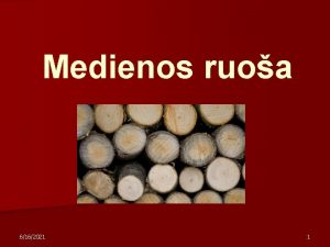 Medienos ruoa 6162021 1 Pamokos tikslas n Suinoti