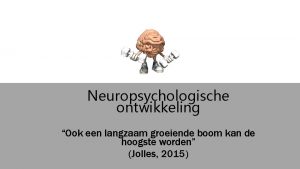 Neuropsychologische ontwikkeling Ook een langzaam groeiende boom kan