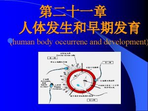 lhuman body occurrenc and development l blastocyst formation