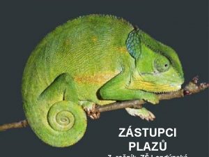 ZSTUPCI PLAZ d elvy tlo kryje kostn krun