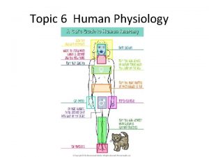 Topic 6 Human Physiology Organization of the body