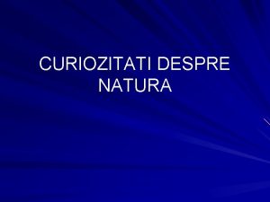 Curiozitati despre cactusi Curiozitati despre cactusi
