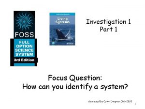 Investigation 1 Part 1 Focus Question How can