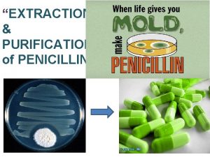 EXTRACTION PURIFICATION of PENICILLIN What Is Penicillin A