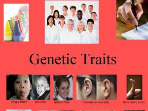 Genetic Traits Mendelian traits in humans In Mendelian