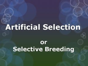 Selective breeding animals