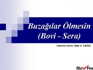 Buzalar lmesin Bovi Sera Veteriner Hekim Tahir S