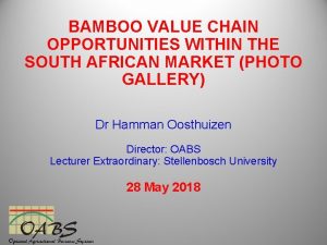 BAMBOO VALUE CHAIN OPPORTUNITIES WITHIN THE SOUTH AFRICAN