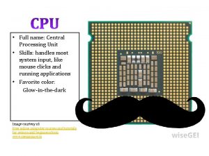 Full name Central Processing Unit Skills handles most